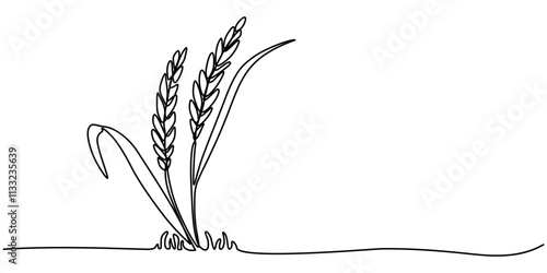 Ears of  wheat  one continuous line drawing .Fall harvest line art. Vector  one line of spikelet . Thanksgiving symbol.Grain, One continuous line. Spikelet of wheat. Spikelet of a cereal plant. Flat.