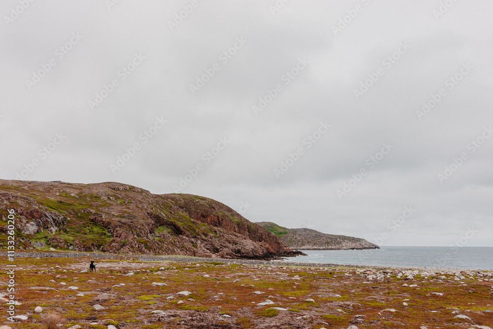 Obraz premium storm over the sea