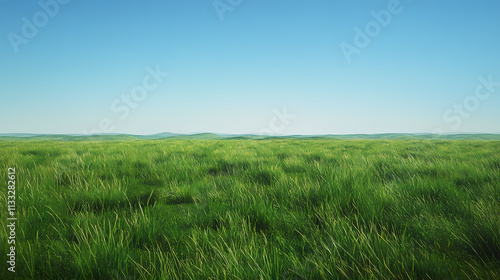 Digital painting green meadow atmosphere, clear sky. Meadow. Illustration
