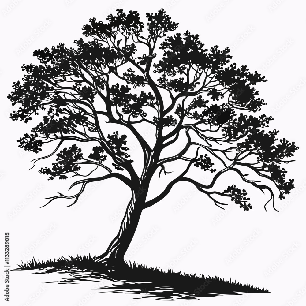 Obraz premium green tree isolated vector on a white background 