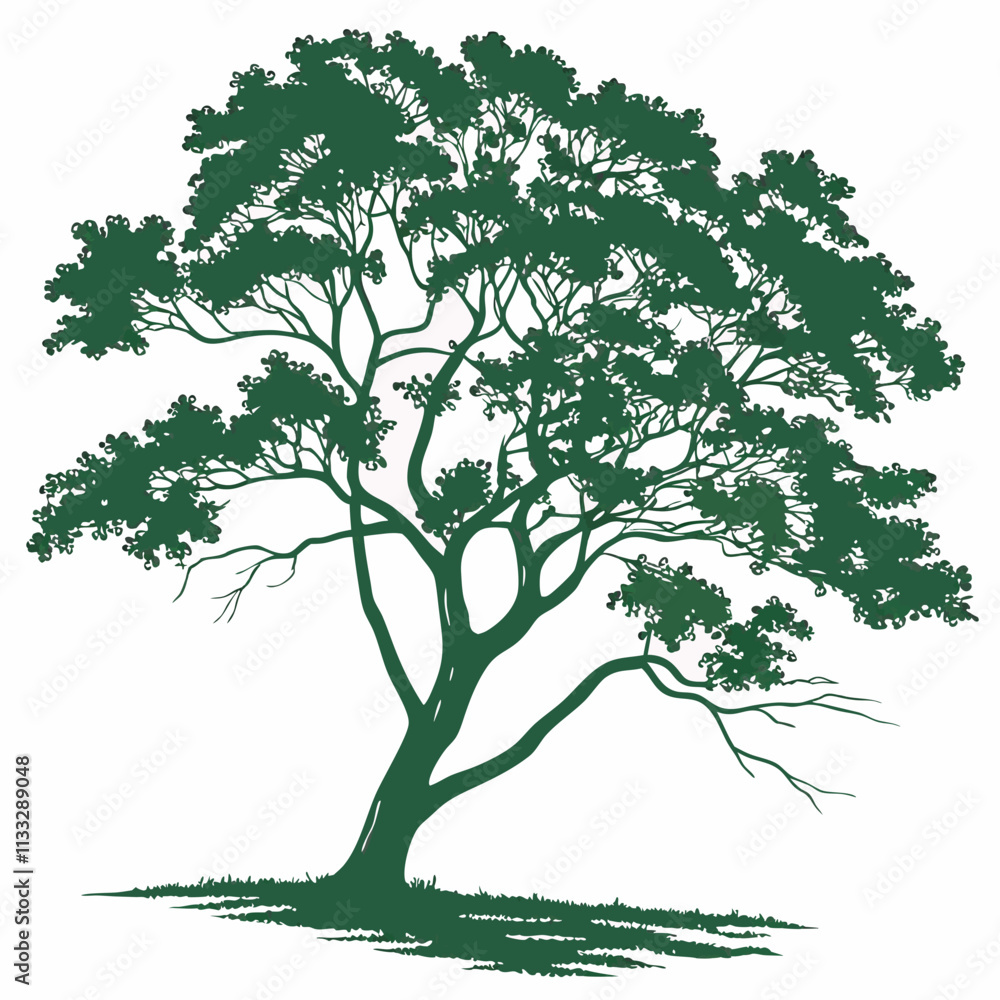 Obraz premium green tree isolated vector on a white background 