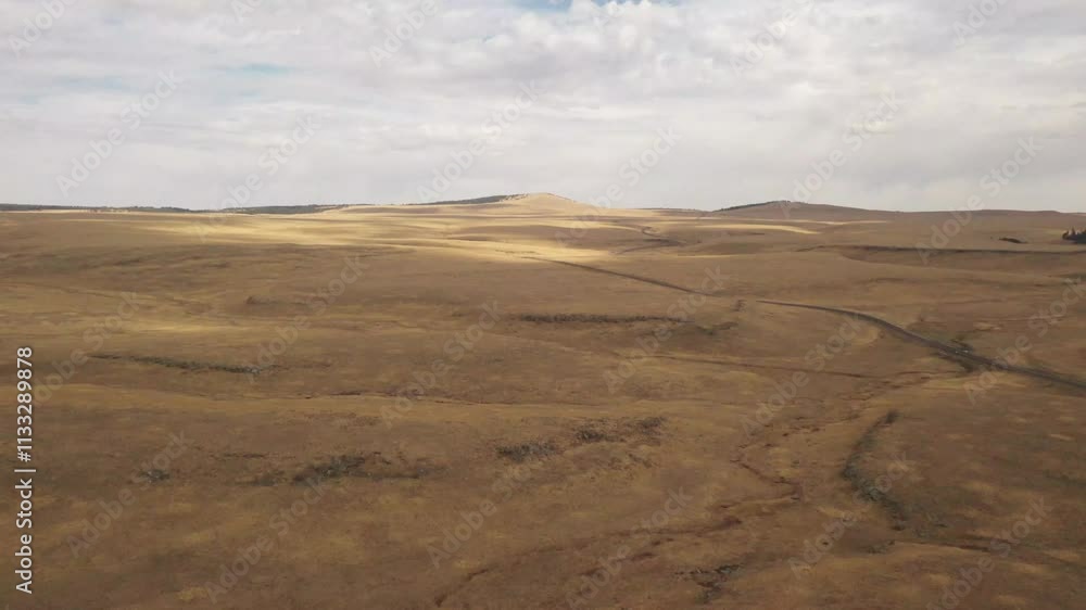 Flying over golden grasslands with patches of sunlight. Flying over golden grasslands with patches of sunlight.