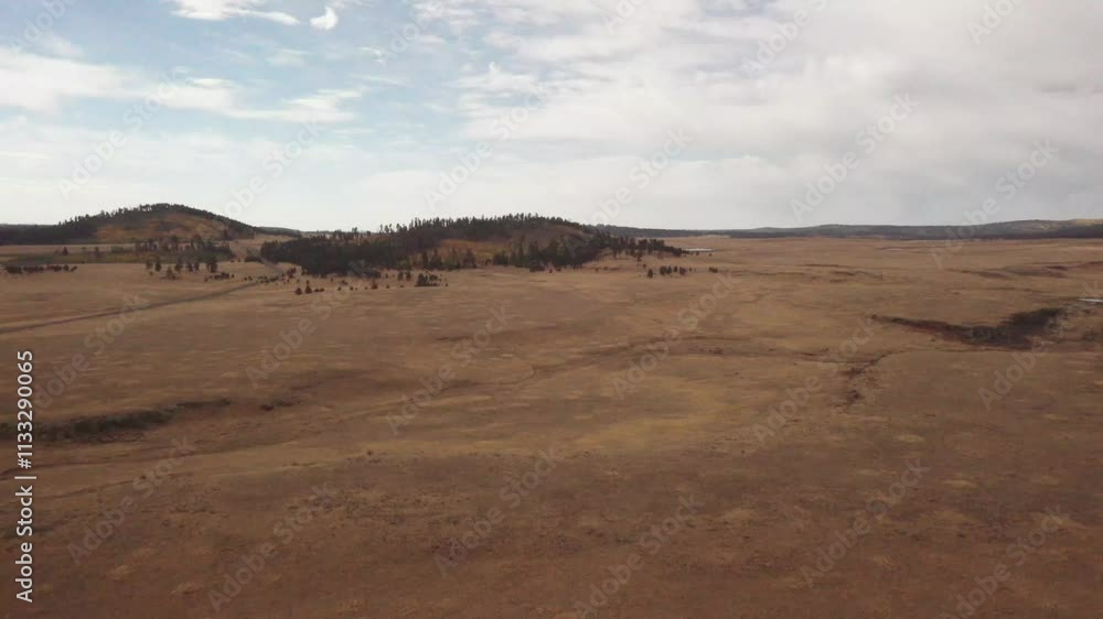 Flying over golden grasslands with patches of sunlight. Flying over golden grasslands with patches of sunlight.