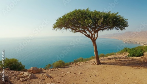 A panoramic view of Bab El Mandeb Strait during a clear day, showcasing its vastness and beauty photo