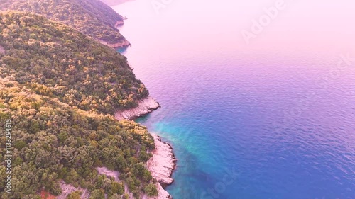 A flight over the seashor photo