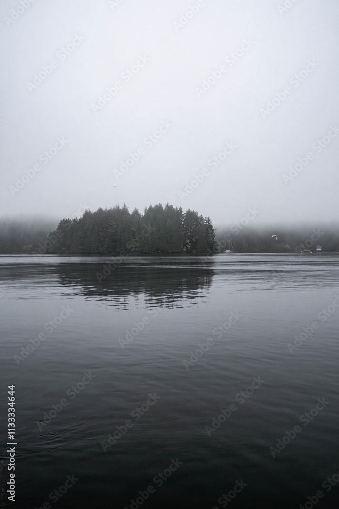 Fototapeta premium Tofino harbour on an early foggy morning