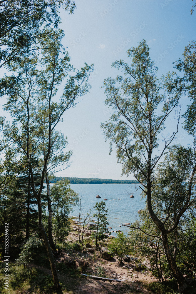 Obraz premium lake in the forest