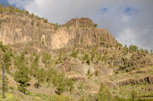 Cliffs of the Arguineguin ravine. Gran Canaria. Canary Islands. Spain. photo