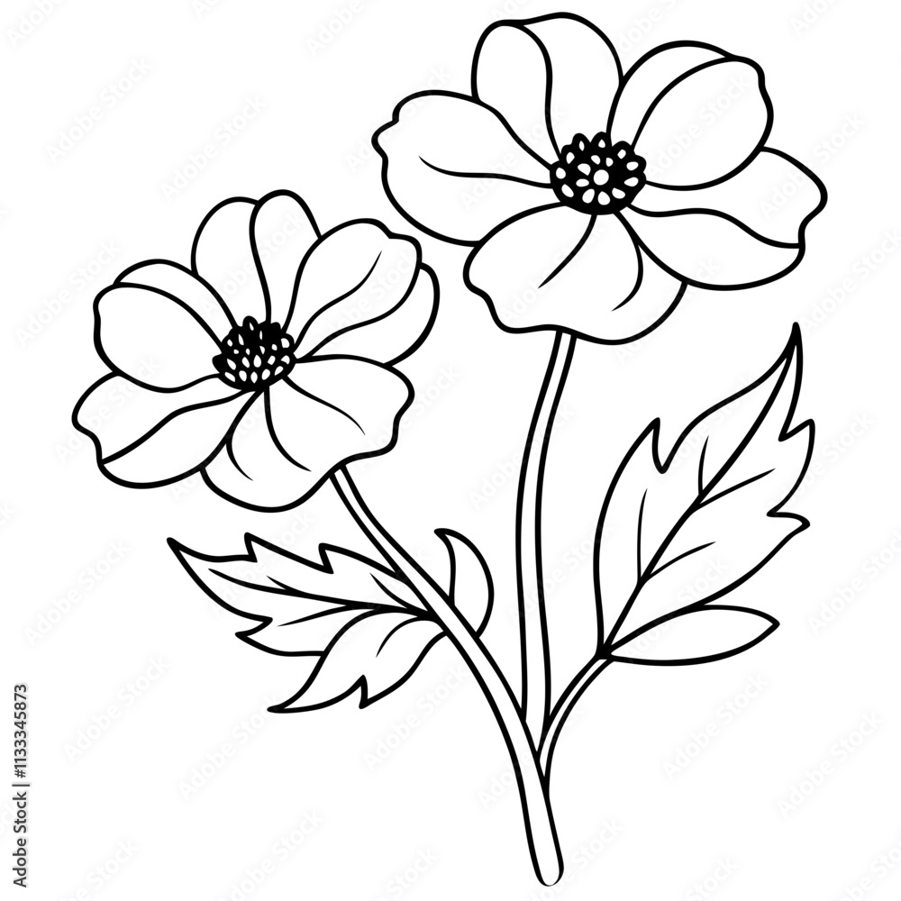 Fototapeta premium Elegant Vector Line Drawing of Anemone Flowers and Leaves Minimalist Floral Design