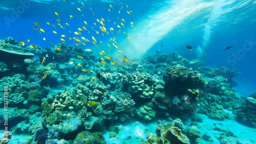 Wallpaper Mural A Beautiful and Vibrant Underwater Coral Reef Filled with Colorful Schools of Fish and Bright Sunlight Torontodigital.ca