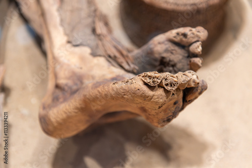 Close Up Of The Feet Of Old Egyptian Mummy Man in The Ground On Blurred Background