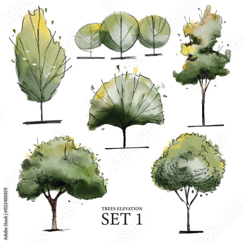 Vector illustration of trees side view hand drawn for architectural and landscape design in a watercolor style set 1