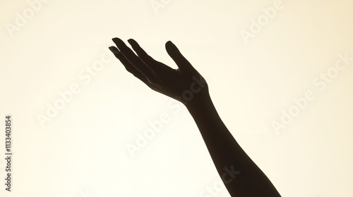 Silhouette of a Woman's Hand on a White Background

 photo