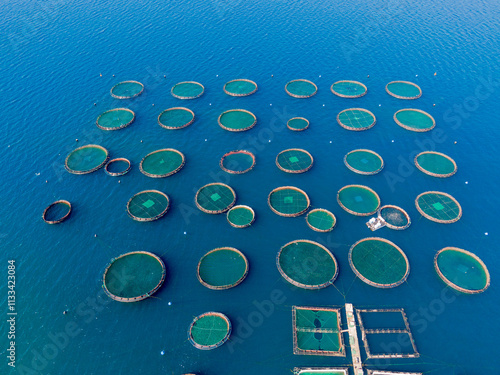 Aerial view of fish farms in the ocean. photo