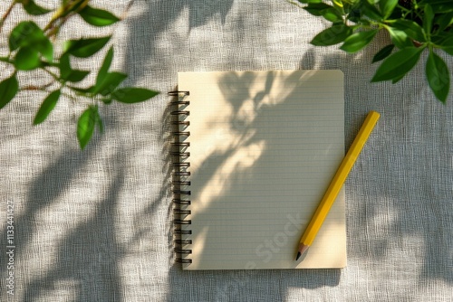 Soft sunlight streams through a window onto a desk with a notebook and plant ...