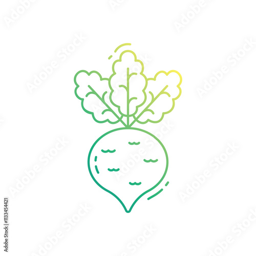 Kohlrabi vector icon