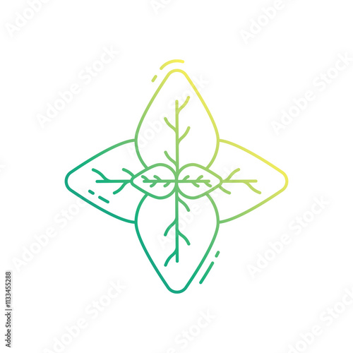 Basil vector icon