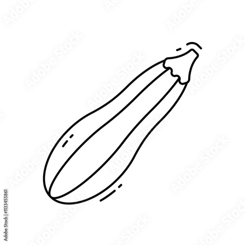 Zucchini vector icon