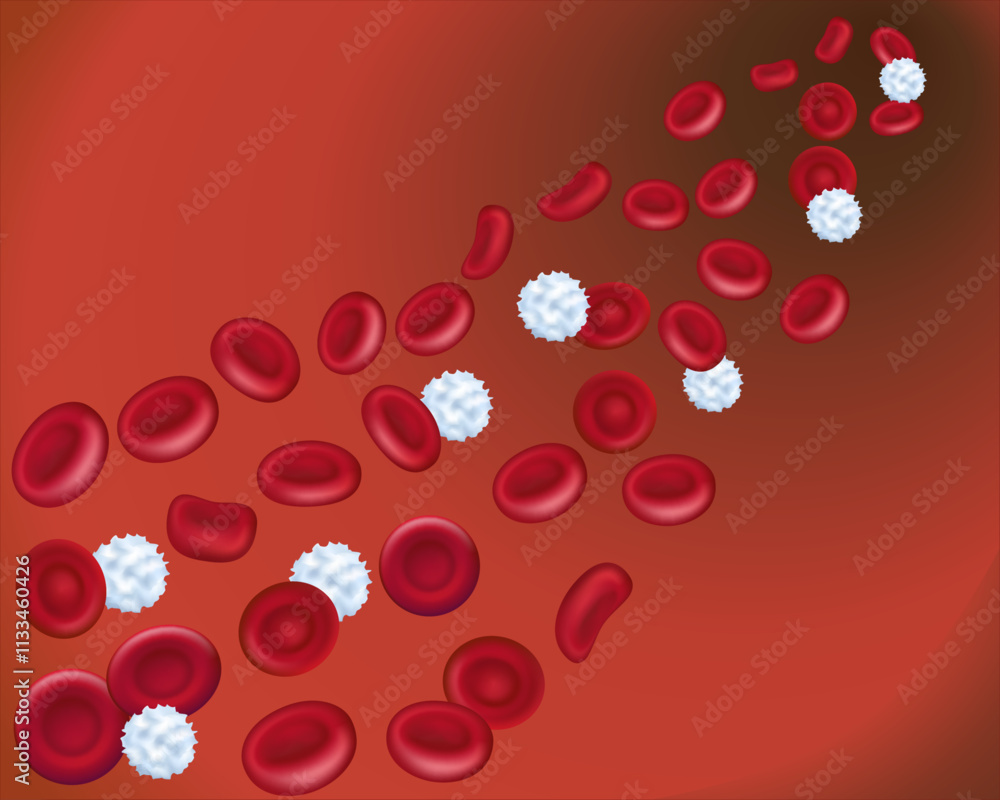 Stockvector Healthy human red and white blood cells in an artery. Red ...