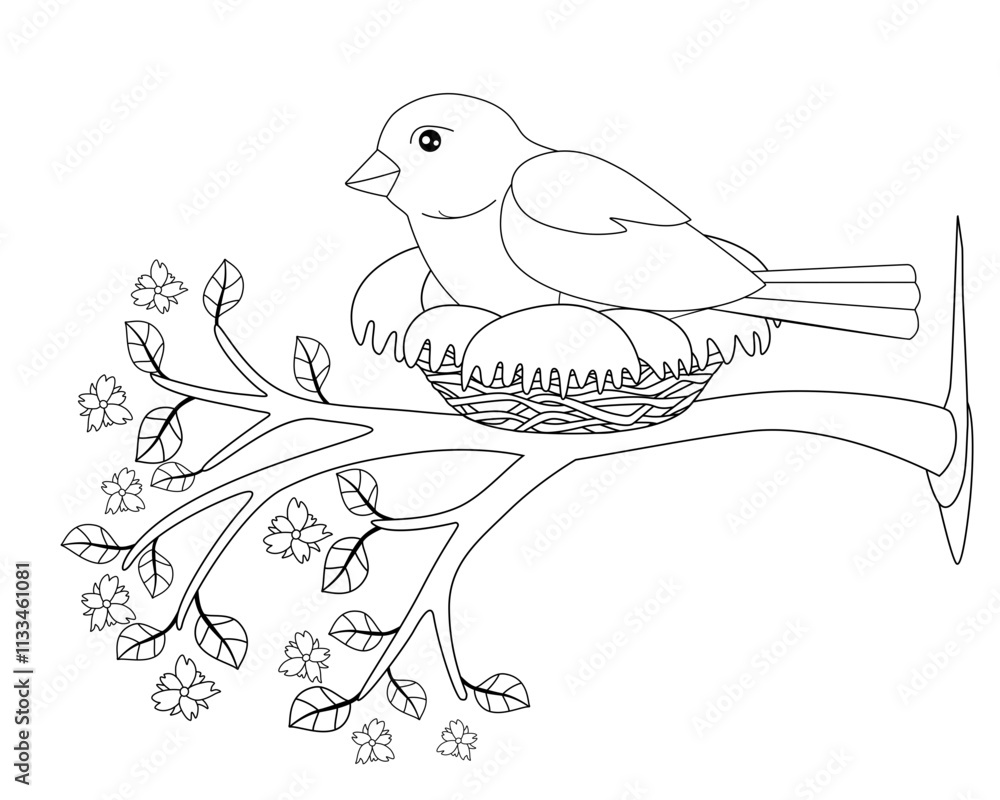 Obraz premium A bird sits in a nest on a flowering spring branch - vector linear picture for coloring. A small bird - a sparrow hatches eggs in a cozy nest on a tree with flowers and tender young leaves. Outline 