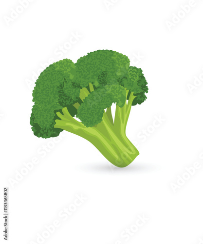 Broccoli fresh vegetable icon stock illustration