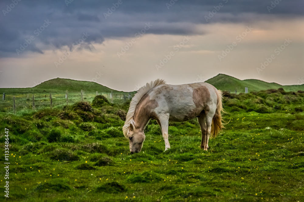 Fototapeta premium Iceland