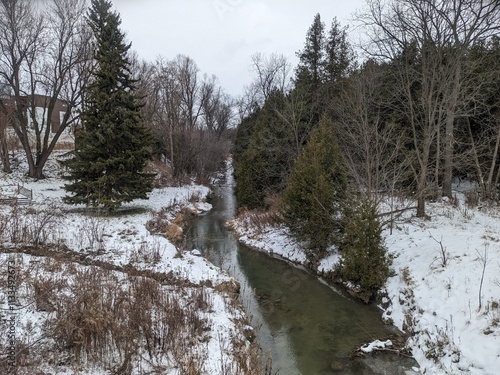 Mount raineer trail photo