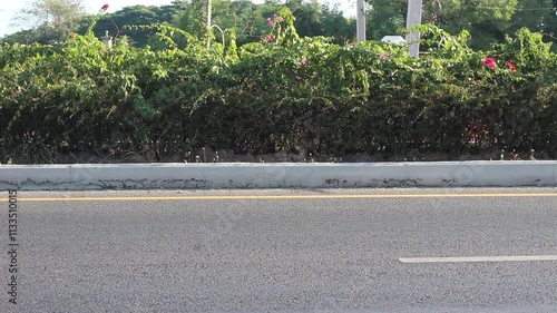 Cars running on the road