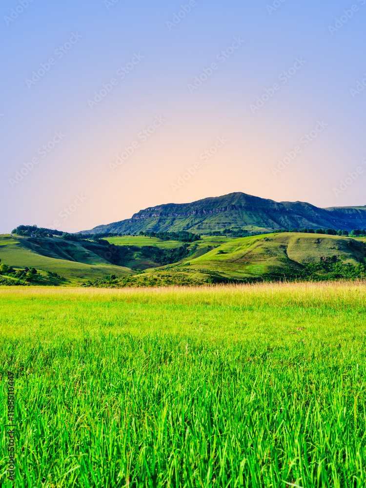 Vertical view of Drakensberg Mountains with a green grass field in the foreground, highlighting the landscape's depth and scale, KwaZulu-Natal, South Africa