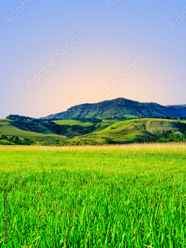 Obraz na płótnie Vertical view of Drakensberg Mountains with a green grass field in the foreground, highlighting the landscape's depth and scale, KwaZulu-Natal, South Africa w salonie
