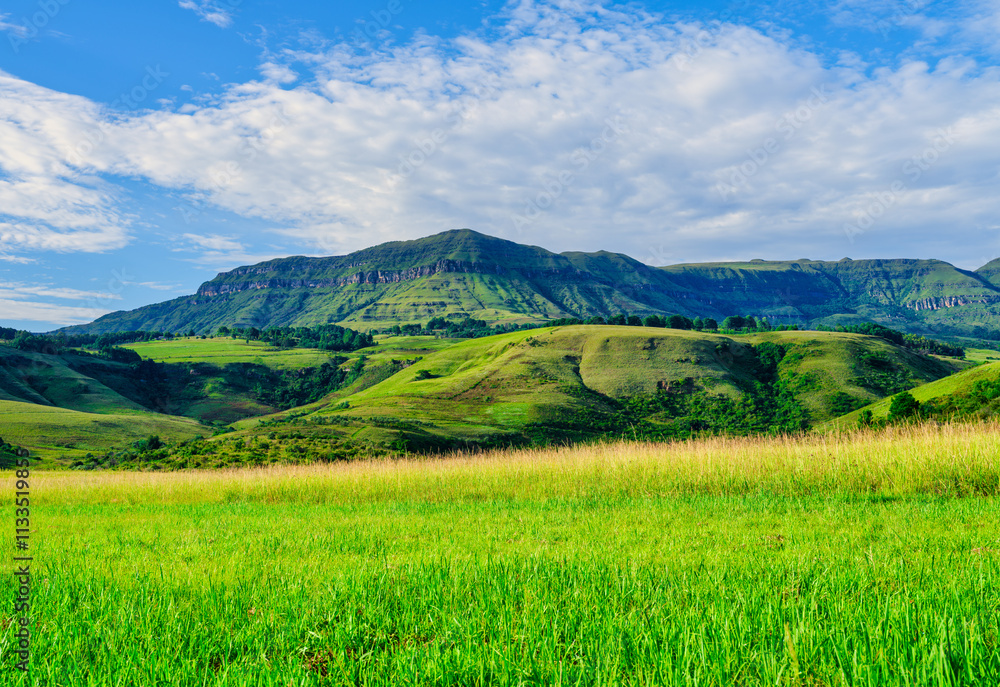 Gently rolling hills and the majestic Drakensberg mountain range in the background of a grassy field, KwaZulu-Natal, South Africa