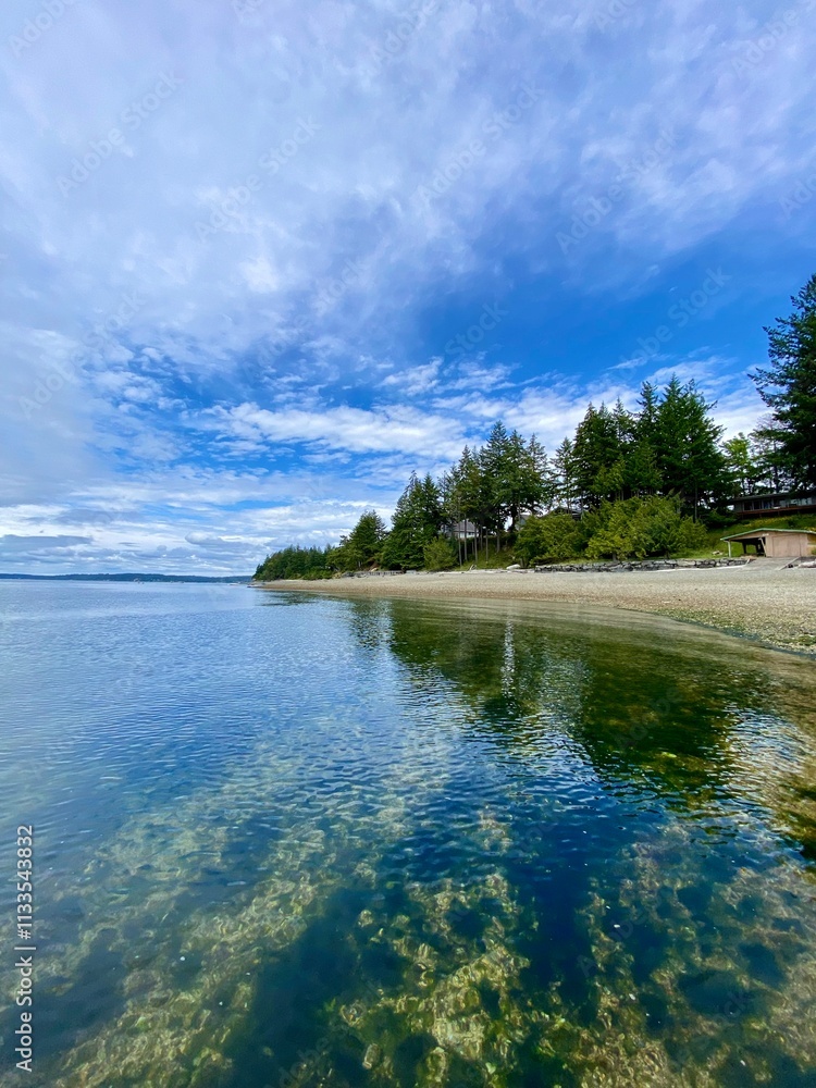 Fototapeta premium PNW oceanside property 