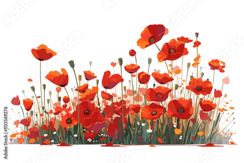 Field of red flowers with a white background