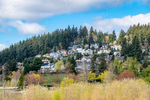 Rural Oregon Neighborhood on Hillside Near Lake Oswego Portland