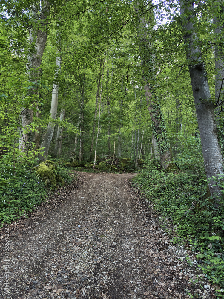Aktuelle Situation des Klimawandels in Europa Aktuelle Situation des Klimawandels in Europa