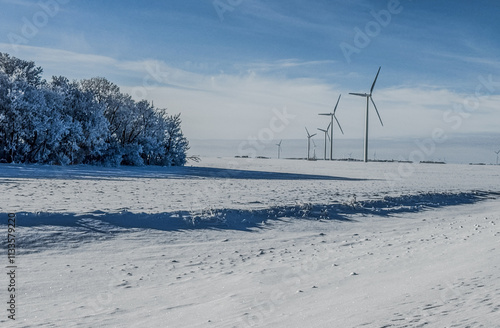 Cold Winters in Manitoba, Canada