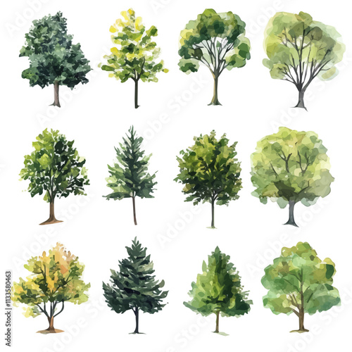 tree Illustration for Design Plan Of architecture and landscape. tree watercolor presentation plan set isolated on a white background, vector, hand drawn tree for spring and autumn and winter season