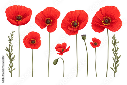 Row of red flowers with green stems