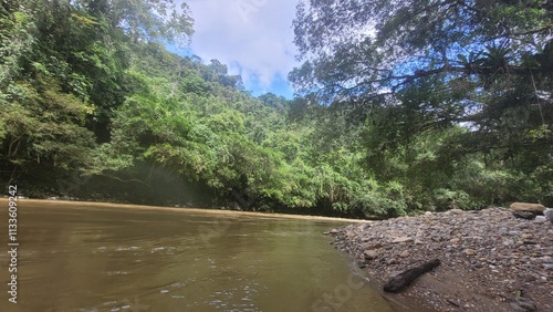 Selva en inigualables formas naturales photo