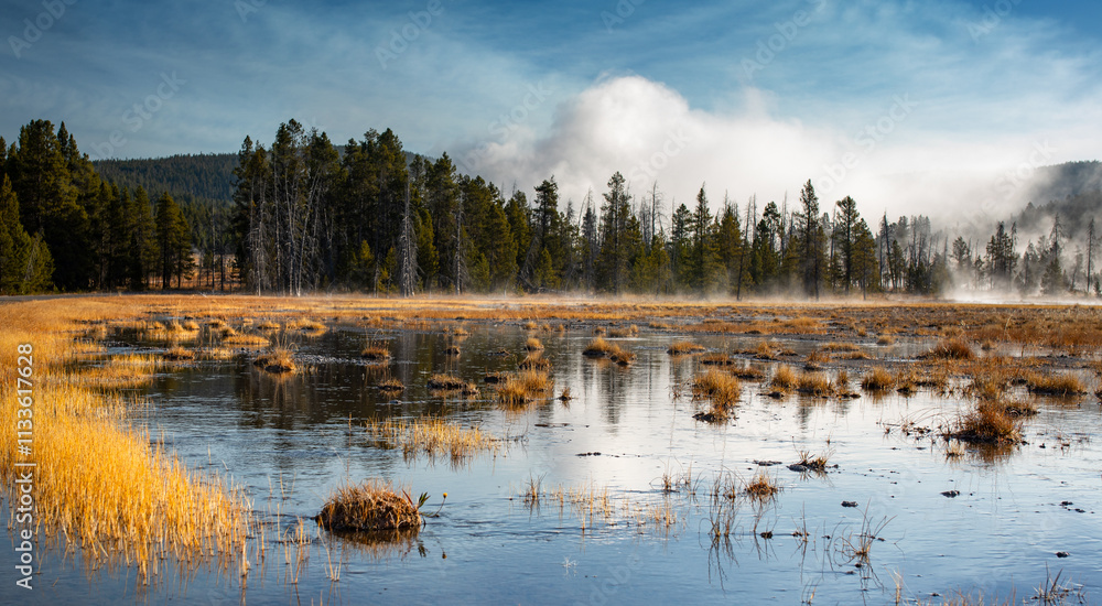 Fototapeta premium Yellowstone Cold Fall Morning