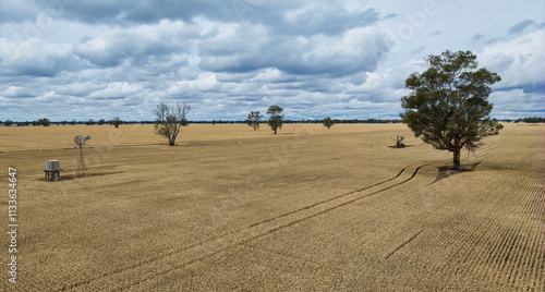 Wheat field with windmill under cloudy skies photo