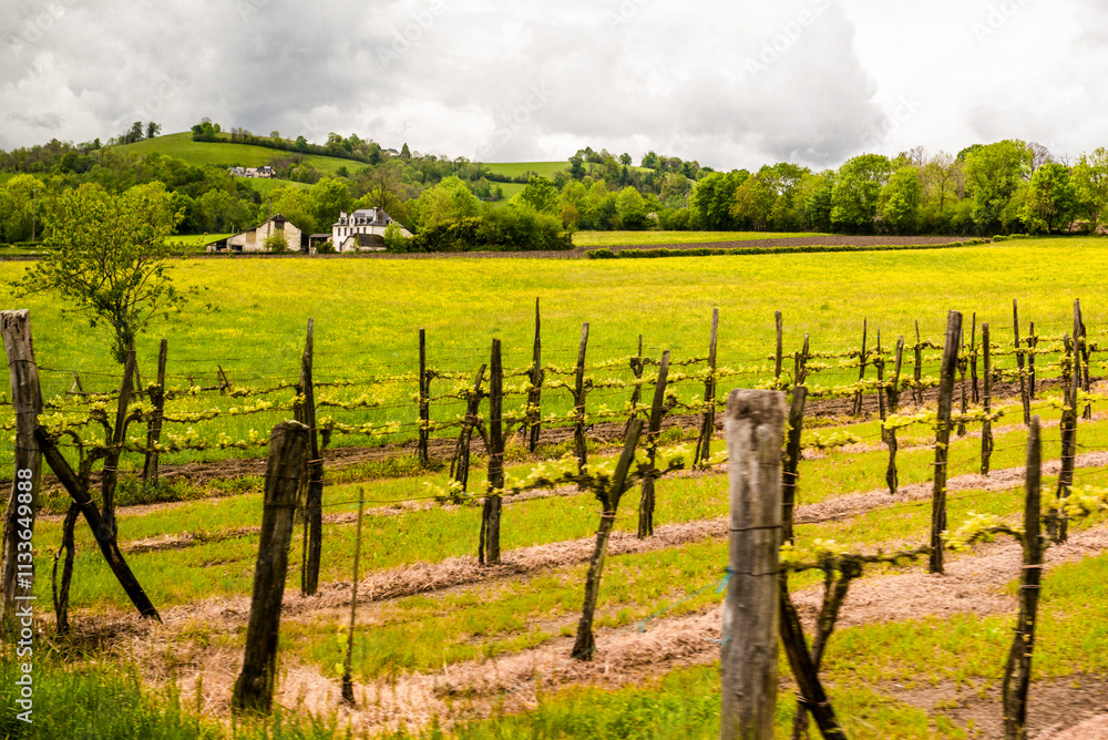 Fototapeta premium French countryside and towns near the French Pyrenees