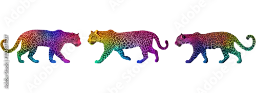 Fototapeta Colorful Rainbow Leopard Silhouette on Transparent Background