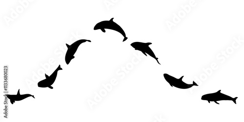 black silhouette of orca whale