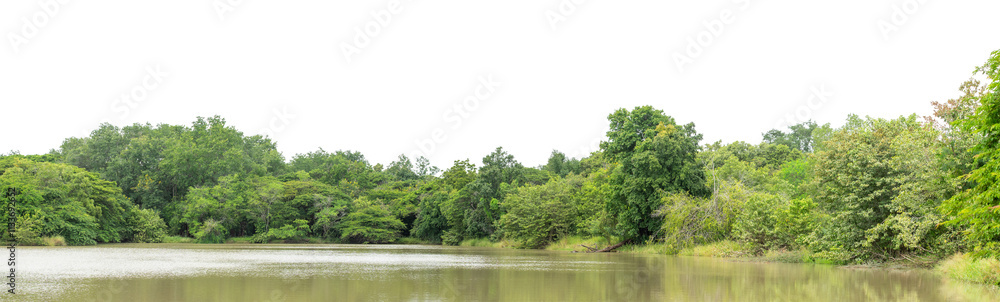 Green trees isolated are forest on transparent background.Forest and foliage in summer with cut path and alpha channel, high resolution. Green trees isolated are forest on transparent background.Forest and foliage in summer with cut path and alpha channel, high resolution.