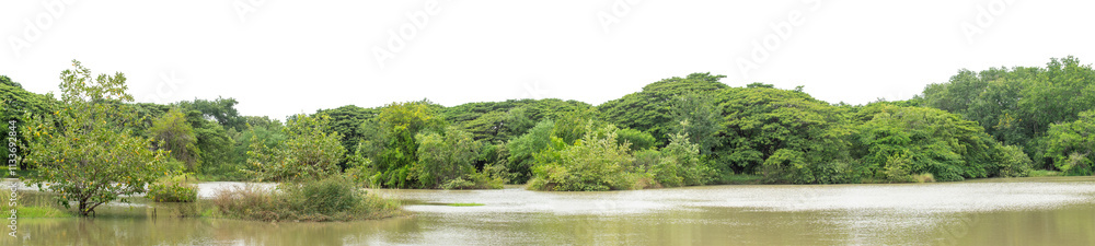 Green trees isolated are forest on transparent background.Forest and foliage in summer with cut path and alpha channel, high resolution. Green trees isolated are forest on transparent background.Forest and foliage in summer with cut path and alpha channel, high resolution.