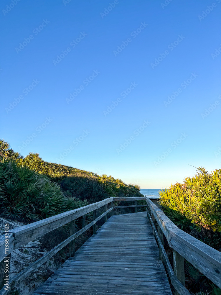 Fototapeta premium A wooden boardwalk leads through lush greenery to an open view of the ocean, under a clear, vibrant blue sky, creating a peaceful and scenic nature escape.