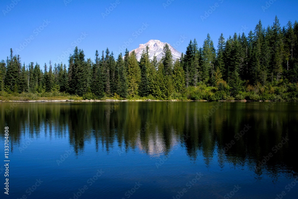 View of Mt Hood as seen from behind a row of dense pine trees and reflected in a clear blue lake in the foreground. View of Mt Hood as seen from behind a row of dense pine trees and reflected in a clear blue lake in the foreground.