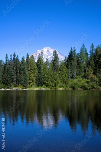 View of Mt Hood as seen from behind a row of dense pine trees and reflected in a clear blue lake in the foreground. 
