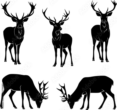 Deer vector illustration. Graphic black silhouettes of wild deer